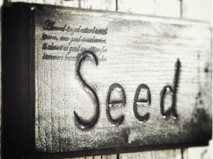 美小顔矯正＆本格ドライヘッドスパサロン　seed【シード】