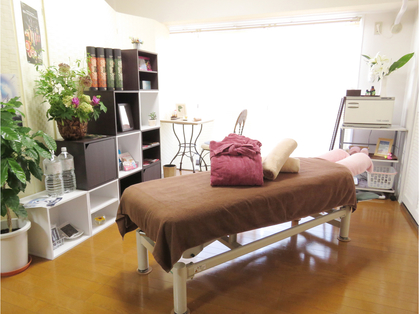 Wellness Salon Nicoyaca
